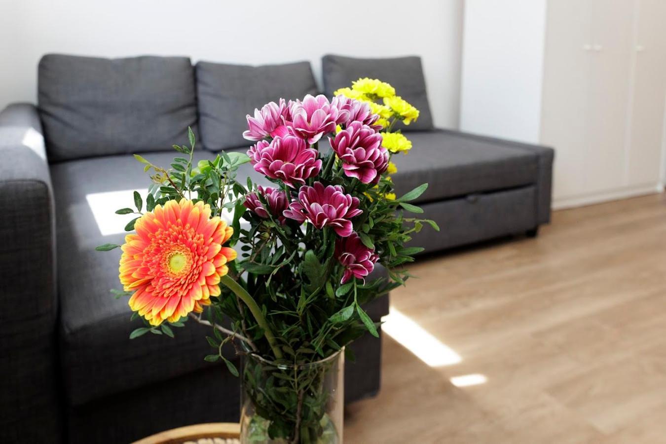 Diamond Residence In Old Town With Free Parking Bratislava Buitenkant foto
